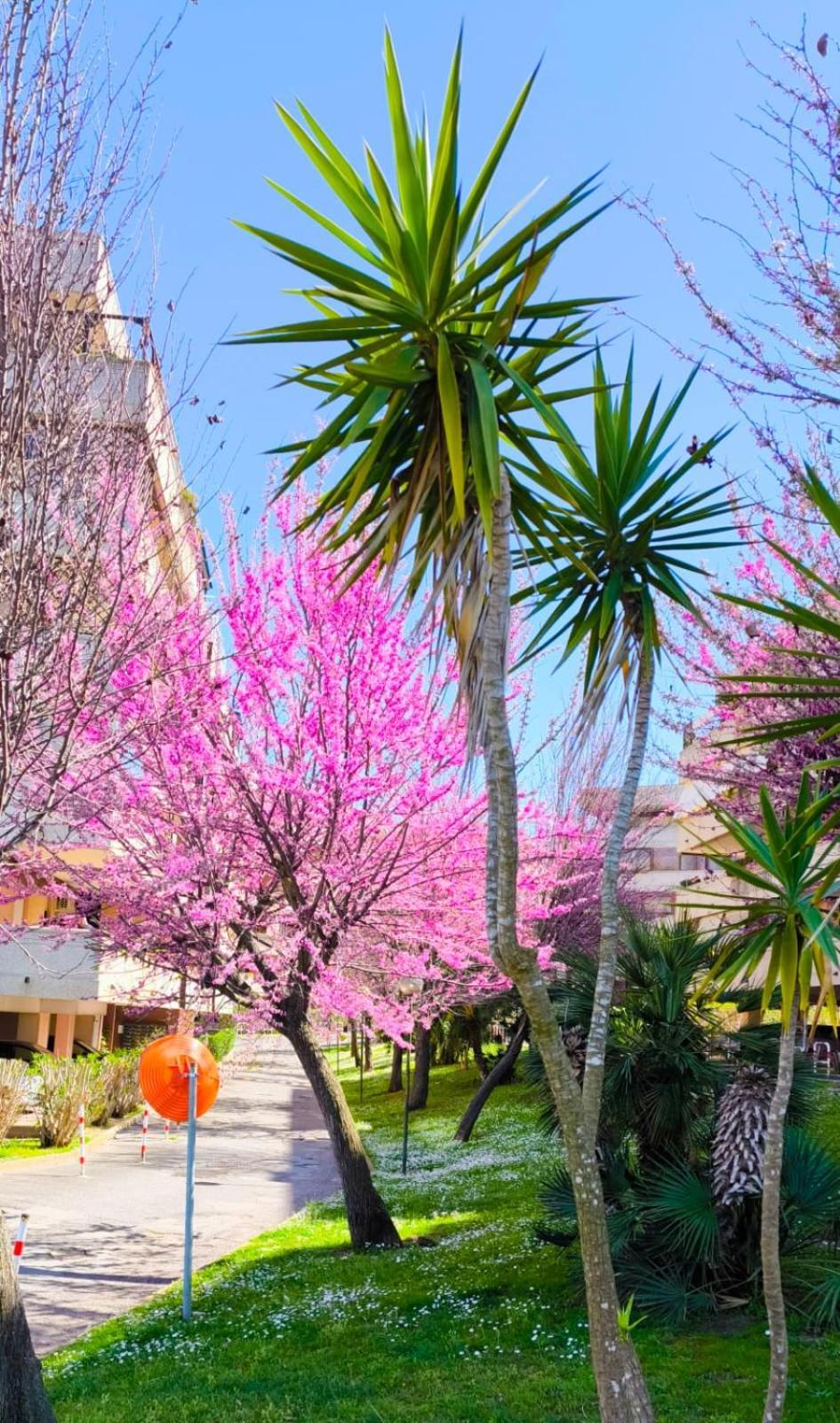 Rome Sweet Home Vitinia Εξωτερικό φωτογραφία