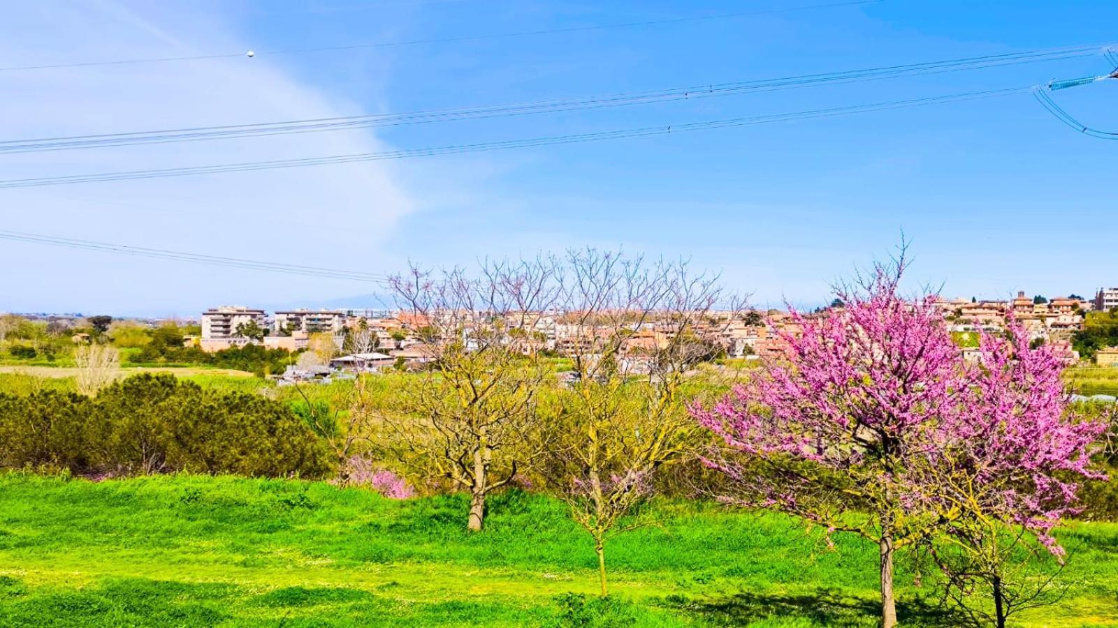 Rome Sweet Home Vitinia Εξωτερικό φωτογραφία