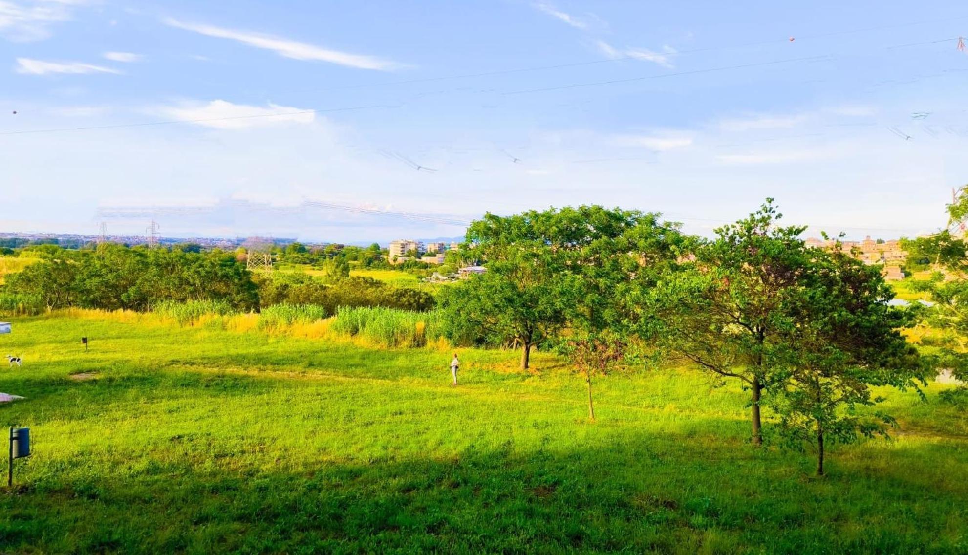 Rome Sweet Home Vitinia Εξωτερικό φωτογραφία